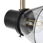 Plafondlamp Ronald I Glas/staal - 2 lichtbronnen