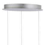 LED-hanglamp Arina kunststof/staal - zilverkleurig - 2 lichtbronnen