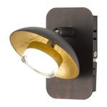 LED-wandlamp Vicenza acrylglas / ijzer - 2 lichtbronnen