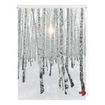 Store enrouleur forêt de bouleaux Tissu - Blanc / Noir - 100 x 150 cm