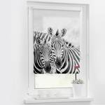 Klemmfix-Rollo Zebra Polyester - Schwarz / Weiß - 70 x 150 cm