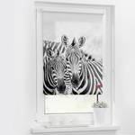 Klemmfix-Rollo Zebra Polyester - Schwarz / Weiß - 100 x 150 cm