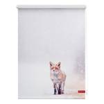 Store enrouleur renard dans la neige Tissu - Blanc / Orange - 120 x 150 cm