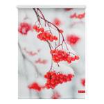 Store enrouleur Sorbier Polyester - Rouge / Blanc - 80 x 150 cm