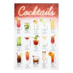 Afbeelding Cocktails I engels