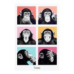 Afbeelding Chimpansee Monkey I Meerkleurig - Plaatmateriaal - Papier - 60 x 90 x 2 cm