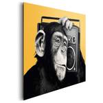Bild Schimpanse Monkey II Safrangelb