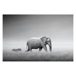 Tableau déco Elefant V Noir - Bois manufacturé - Papier - 90 x 60 x 2 cm