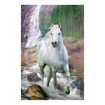 Afbeelding Paard I Wit - Plaatmateriaal - Papier - 60 x 90 x 2 cm