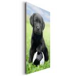 Bild Labrador Welpe Multicolor - Holzwerkstoff - Papier - 60 x 90 x 2 cm