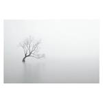 Bild Stiller Baum Weiß - Holzwerkstoff - Papier - 90 x 60 x 2 cm