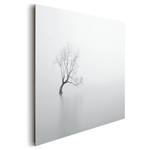 Bild Stiller Baum Weiß - Holzwerkstoff - Papier - 90 x 60 x 2 cm