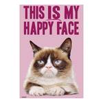 Afbeelding Grumpy Cat Roze - Plaatmateriaal - Papier - 60 x 90 x 2 cm