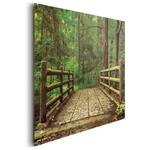 Afbeelding Bosbrug Groen - Plaatmateriaal - Papier - 90 x 60 x 2 cm