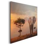 Afbeelding Afrika Bruin - Plaatmateriaal - Papier - 90 x 60 x 2 cm