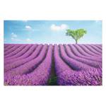 Bild Lavendel Felder Violett - Holzwerkstoff - Papier - 90 x 60 x 2 cm