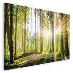 Bild Waldleuchten Grün - Holzwerkstoff - Papier - 118 x 70 x 2 cm
