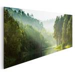 Bild Mystischer Waldsee Grün - Holzwerkstoff - Papier - 156 x 52 x 2 cm