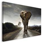 Bild Elefant König Braun - Holzwerkstoff - Papier - 118 x 70 x 2 cm