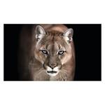 Bild Puma Braun - Holzwerkstoff - Papier - 118 x 70 x 2 cm