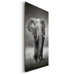 Afbeelding Olifant III Zwart - Plaatmateriaal - Papier - 60 x 90 x 2 cm