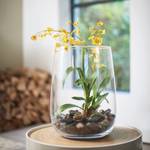 Kunstpflanze Orchidee Terra Glas