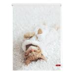 Verdunkelungsrollo Sleepy Cat Webstoff - Weiß - 80 x 150 cm