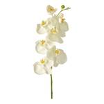Fleur artificielle Fiore II Matière plastique - Blanc perlé