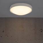 LED-plafondlamp Altus Plexiglas/staal - 1 lichtbron - Grijs