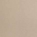 Rolgordijn voor dakraam Skylight geweven stof - crèmekleurig - Beige - 36 x 77 cm