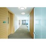 LED-Deckenleuchte Lucca Milchglas / Edelstahl - 1-flammig