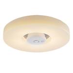 LED-Deckenleuchte Pisa Acrylglas / Edelstahl - 1-flammig