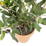 Kunstpflanze Olivenbaum Kunststoff / Keramik - Grün / Terra