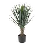 Kunstplanten Palmboom (2-delig) kunststof - groen/zwart