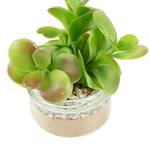 Kunstpflanze Ezeiza Kunststoff / Glas - Grün