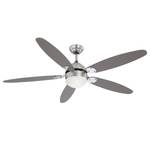 Deckenventilator Azura Milchglas / Eisen - 1-flammig