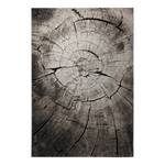 Laagpolig vloerkleed Wild Oak kunstvezels - crèmekleurig/grijs - 120 x 170 cm