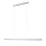 LED-Pendelleuchte Arina III Acrylglas / Aluminium - 2-flammig