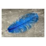 Blue Feather In Bild