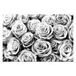 Tableau déco Creamy Roses Noir - Blanc