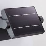 LED-Solarwandleuchte Grady I Acrylglas / Aluminium - 1-flammig