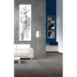 Bild Serengeti Silber - Kunststoff - Holz teilmassiv - 50 x 150 x 3.8 cm