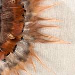 Tableau déco plumes I Marron - Verre - Fibres naturelles - Textile - En partie en bois massif - 60 x 60 x 5 cm