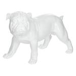 Sculptuur Bulldog Kunsthars - Wit