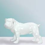 Sculptuur Bulldog Kunsthars - Wit