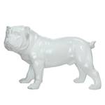 Statuette Bulldog Résine synthétique - Blanc