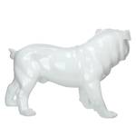 Statuette Bulldog Résine synthétique - Blanc