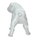 Statuette Bulldog Résine synthétique - Blanc