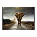 Afbeelding Taira Olifant Meerkleurig - Plaatmateriaal - 140 x 100 x 2.6 cm