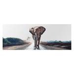 Digitaldruckspiegel Taira Elefant Grau - Glas - 140 x 50 x 0.3 cm